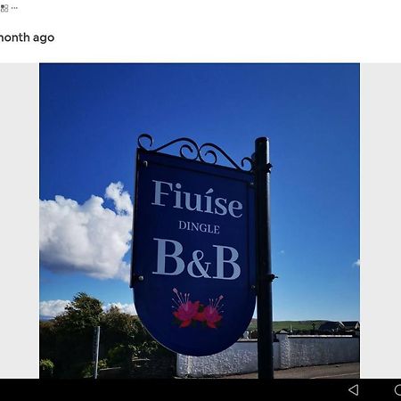 Fiuise B&B Dingle Dış mekan fotoğraf