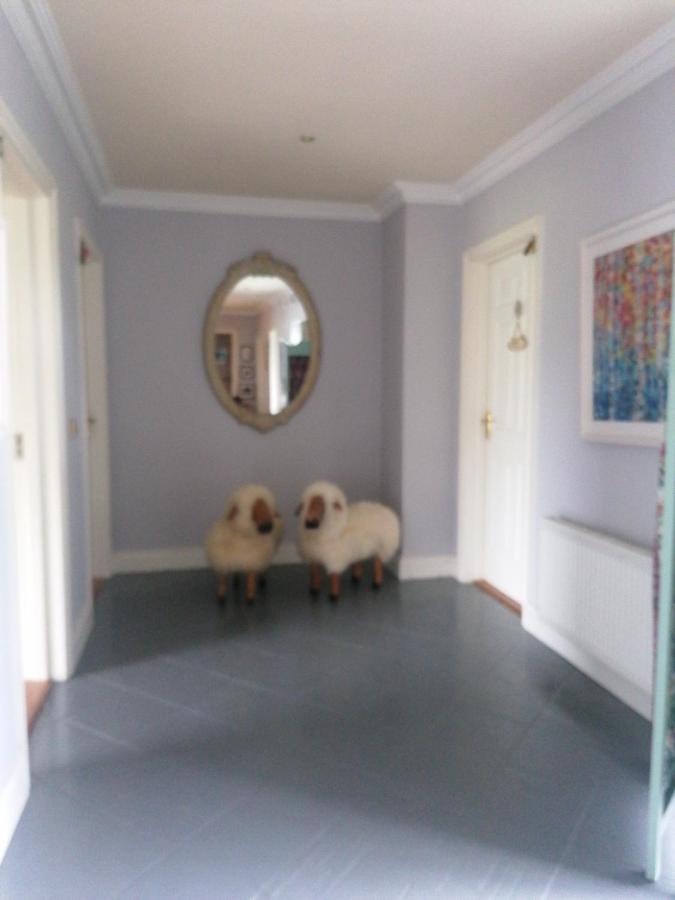 Fiuise B&B Dingle Dış mekan fotoğraf