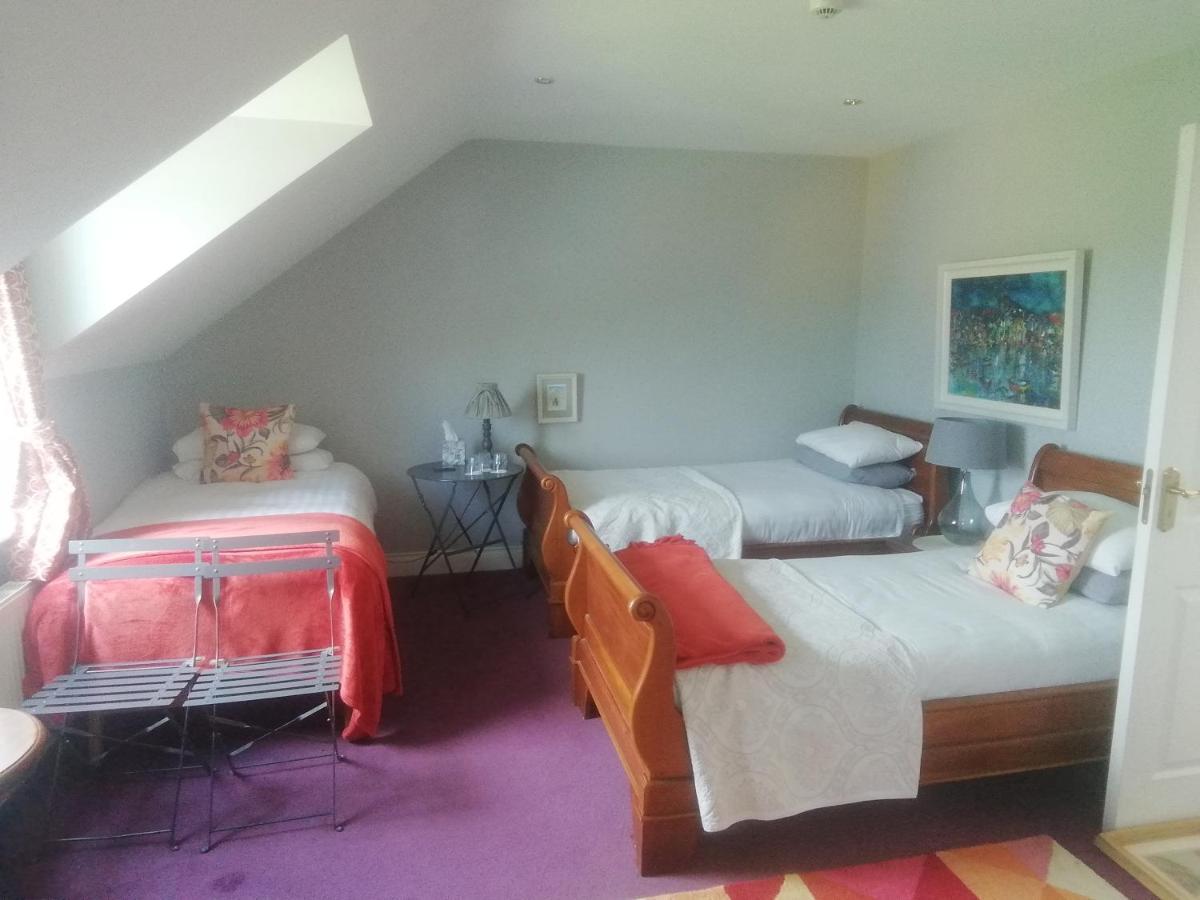 Fiuise B&B Dingle Dış mekan fotoğraf