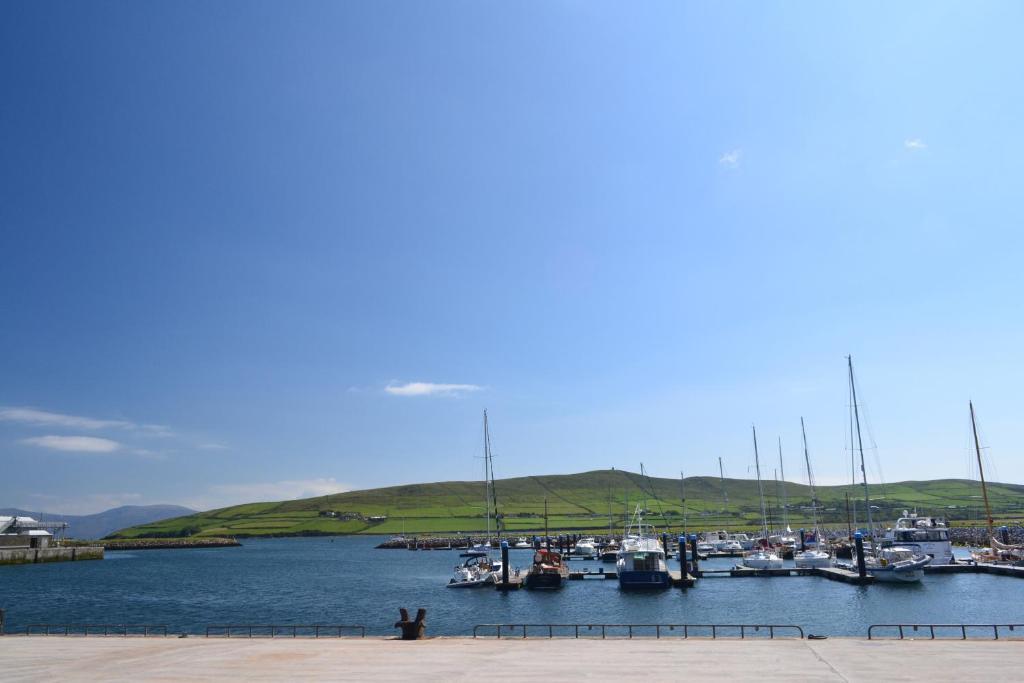 Fiuise B&B Dingle Dış mekan fotoğraf