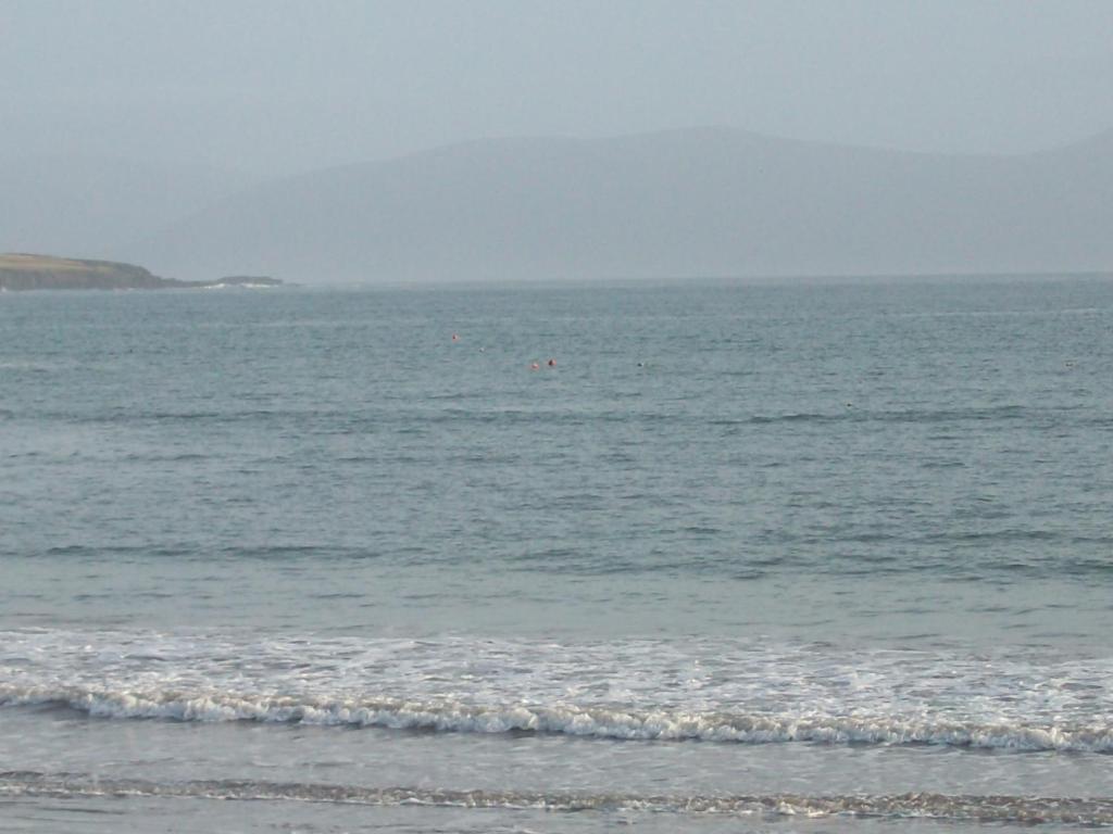 Fiuise B&B Dingle Dış mekan fotoğraf