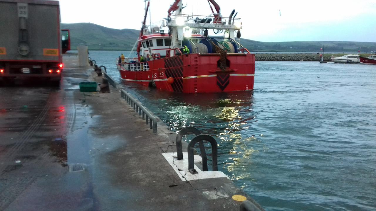 Fiuise B&B Dingle Dış mekan fotoğraf