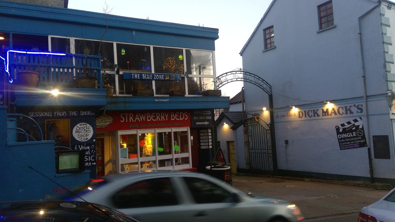 Fiuise B&B Dingle Dış mekan fotoğraf